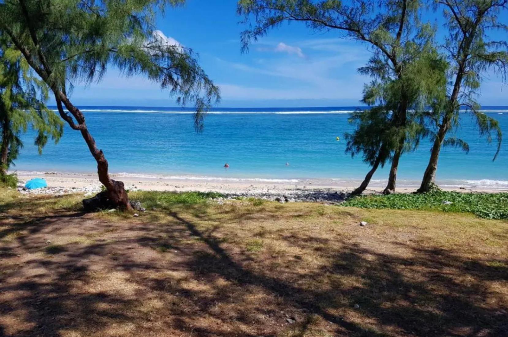 Le Tamarin Bleu - Studio A 300 M De La Plage La Saline Le Bains Dış mekan fotoğraf